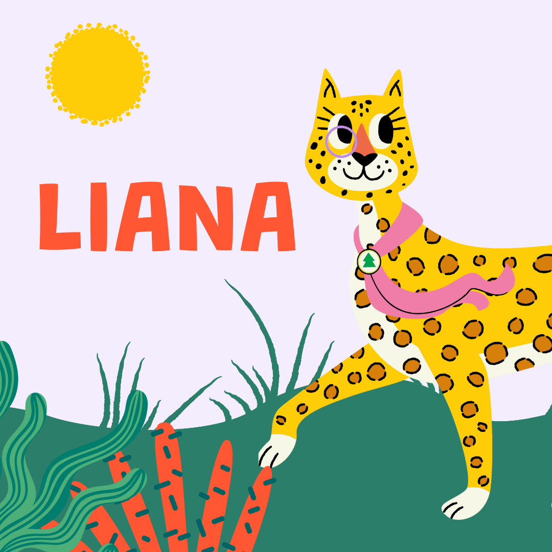 Liana Collection